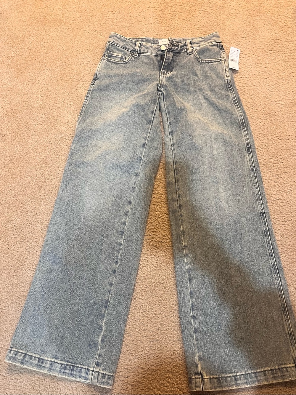 NWT Pacsun baggy low rise wide leg Streetwear jeans size 23